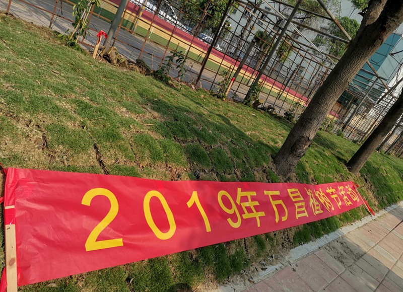 萬昌“守綠行動”，你我共同啟動